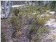 Lot 3 Welcome Reef Road, Tomboye NSW 2622