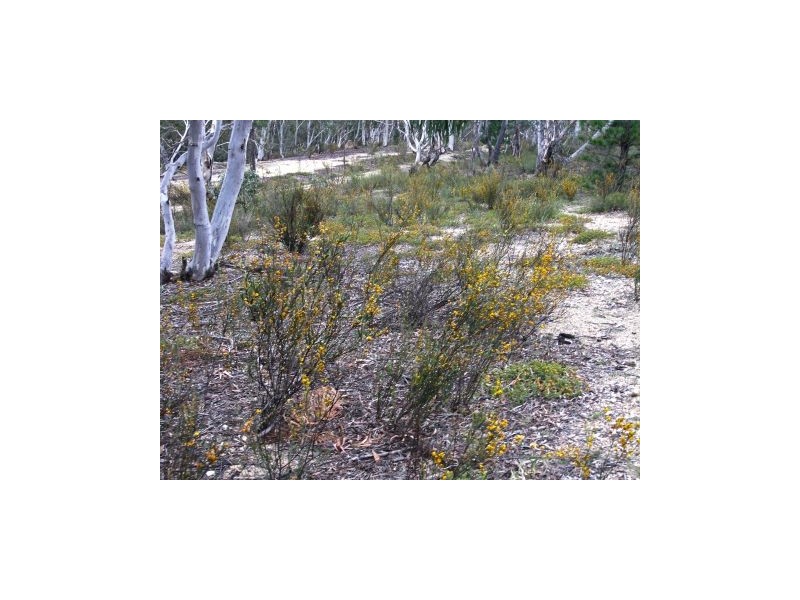 Lot 3 Welcome Reef Road, Tomboye NSW 2622