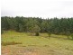 Lot 3 Welcome Reef Road, Tomboye NSW 2622