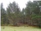Lot 3 Welcome Reef Road, Tomboye NSW 2622