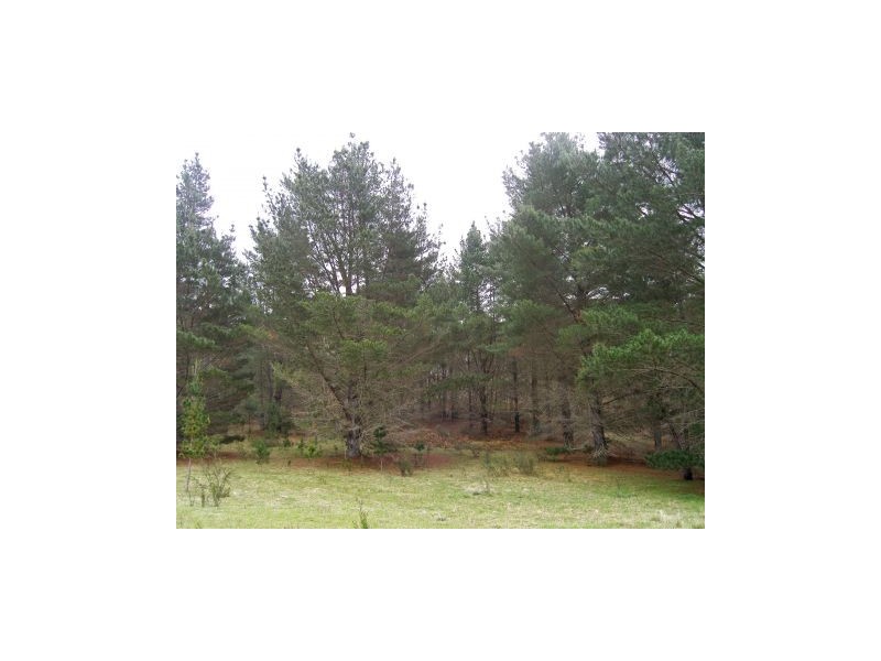 Lot 3 Welcome Reef Road, Tomboye NSW 2622
