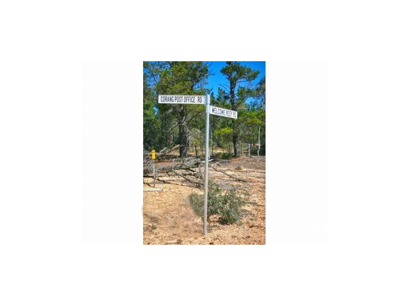 Lot 3 Welcome Reef Road, Tomboye NSW 2622