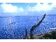 190 The Lake Circuit, Culburra Beach NSW 2540