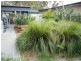 84 Boorawine Terrace, Callala Bay NSW 2540