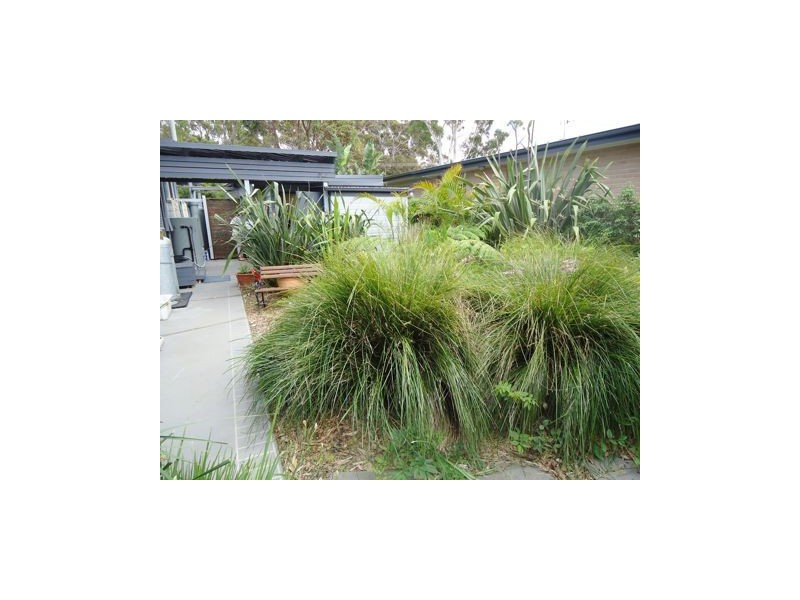 84 Boorawine Terrace, Callala Bay NSW 2540