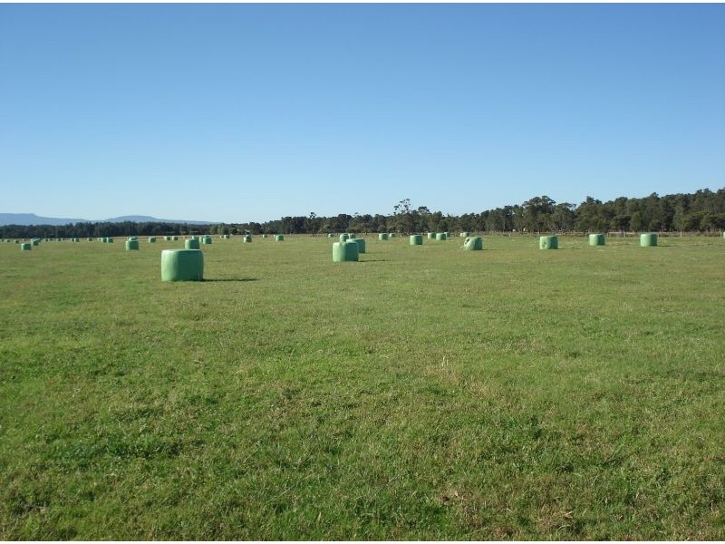 201 Comerong Island Road, Comerong Island NSW 2540