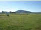 201 Comerong Island Road, Comerong Island NSW 2540