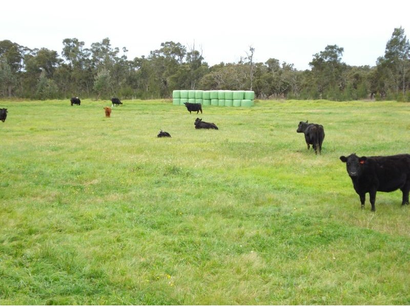 201 Comerong Island Road, Comerong Island NSW 2540