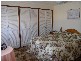 19 Haiser Road, Greenwell Point NSW 2540