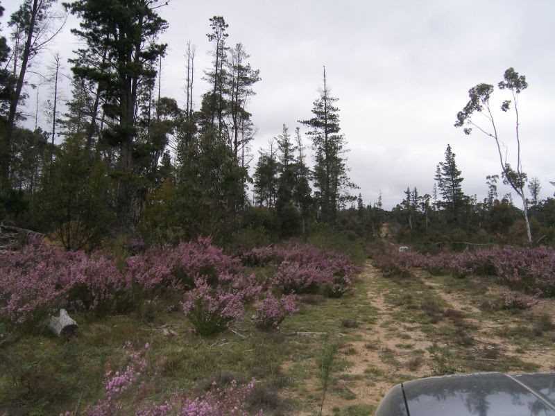 . Goulburn Road, Nerriga NSW 2622