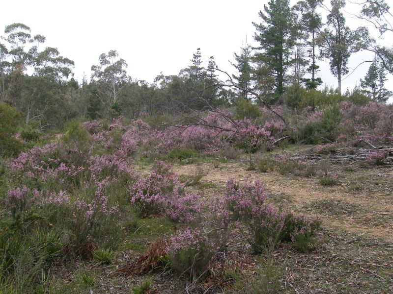 . Goulburn Road, Nerriga NSW 2622