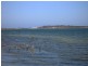 78 West Crescent, Culburra Beach NSW 2540