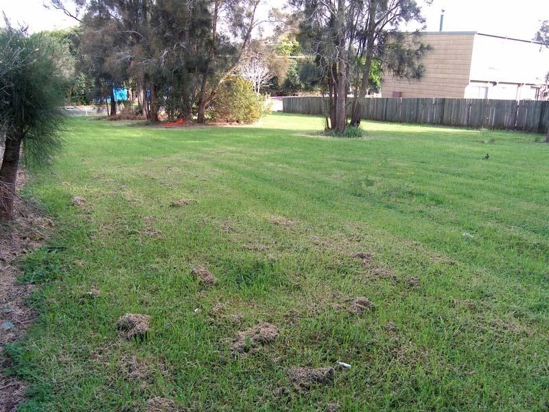 34 Otway Street, Orient Point NSW 2540