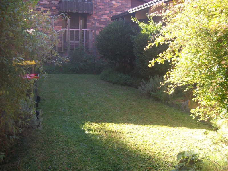 20 Cocos Palm Drive, Bomaderry NSW 2541