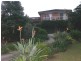 Cambewarra NSW 2540