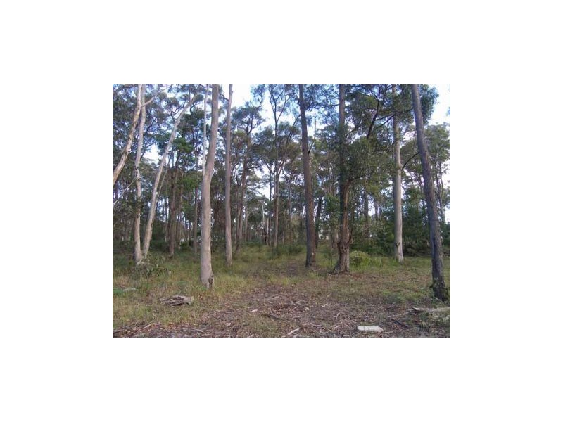 Lot 14 Cook Street, Callala Bay NSW 2540