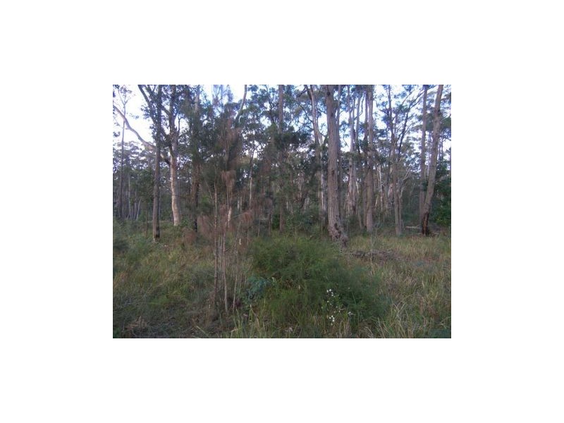Lot 14 Cook Street, Callala Bay NSW 2540