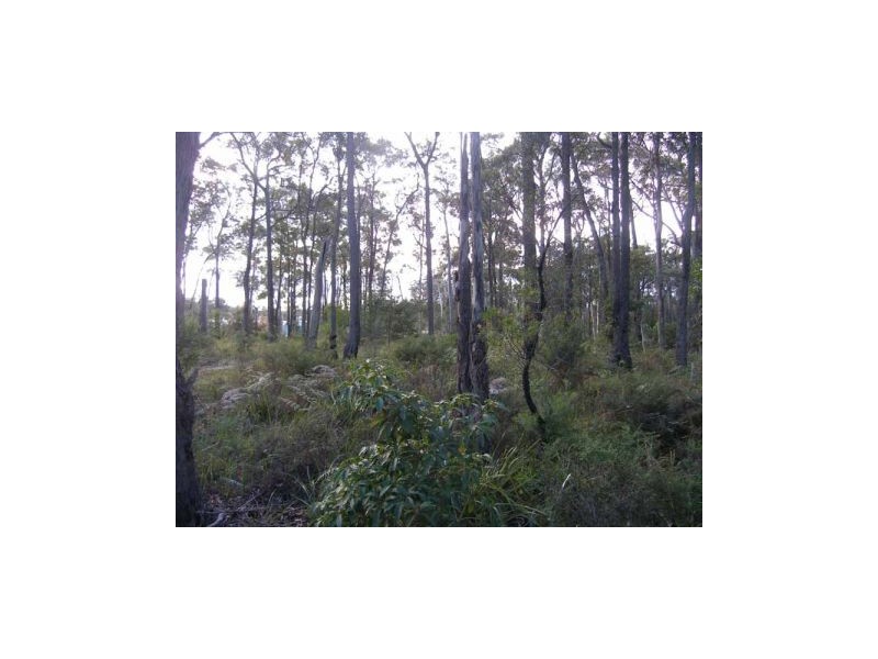 Lot 14 Cook Street, Callala Bay NSW 2540