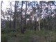 Lot 14 Cook Street, Callala Bay NSW 2540
