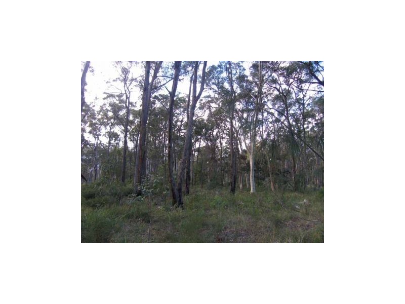 Lot 14 Cook Street, Callala Bay NSW 2540