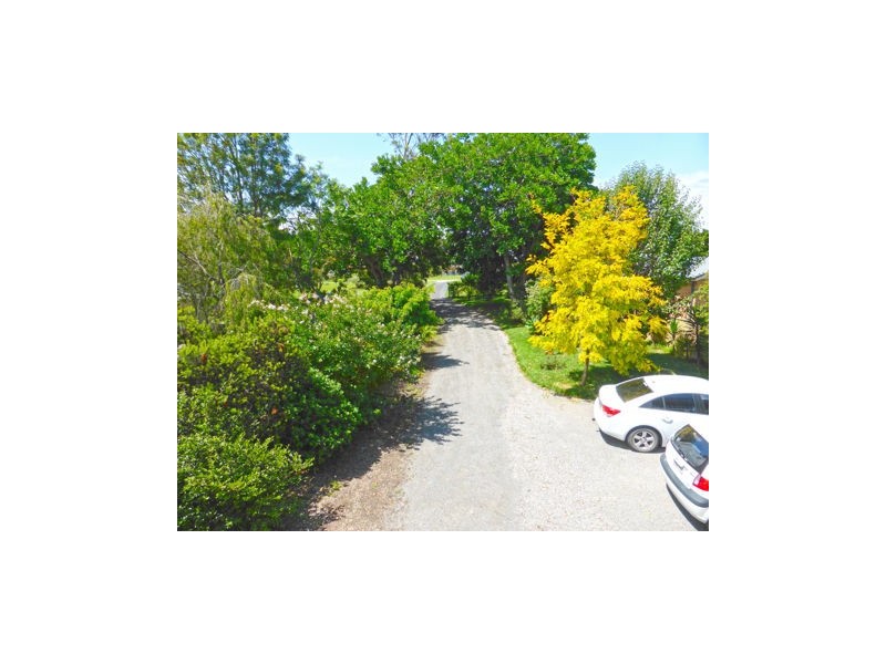 59 Osterley Avenue, Orient Point NSW 2540