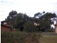 96 Quay Road, Callala Beach NSW 2540
