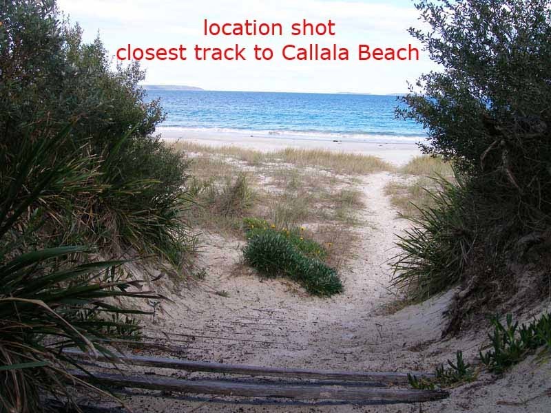 54 Watts Road, Callala Beach NSW 2540