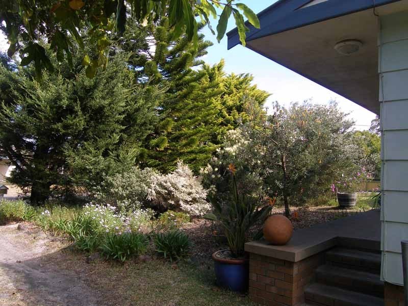 54 Watts Road, Callala Beach NSW 2540