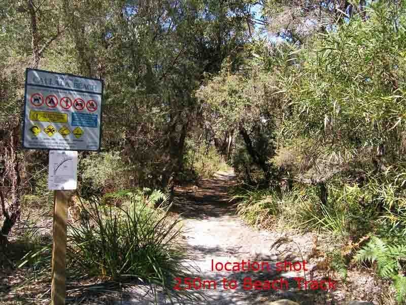 54 Watts Road, Callala Beach NSW 2540