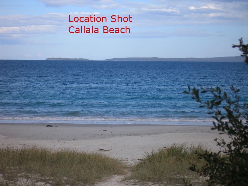 54 Watts Road, Callala Beach NSW 2540