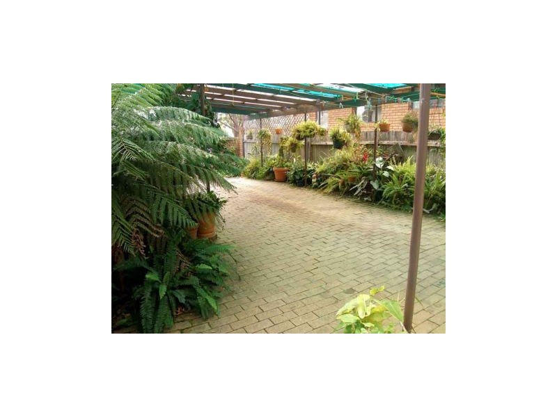 24  Brighton Parade, Culburra Beach NSW 2540