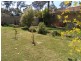 57 Lackersteen Street, Callala Bay NSW 2540