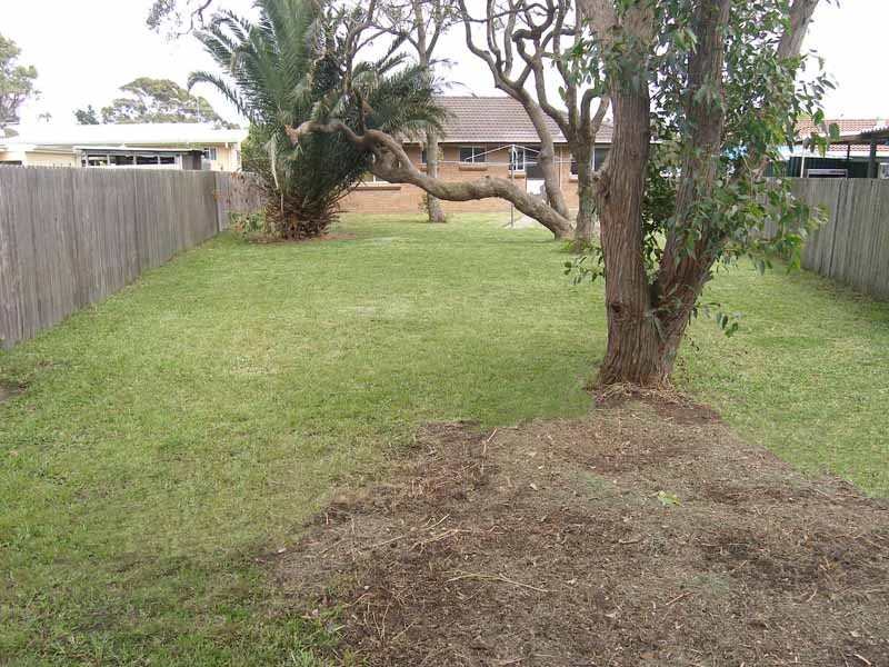 Culburra Beach NSW 2540