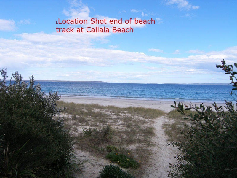 55 Watts Road, Callala Beach NSW 2540
