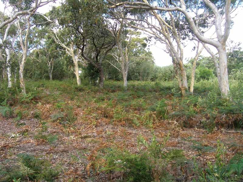 106 Griffin  Street, Callala Beach NSW 2540