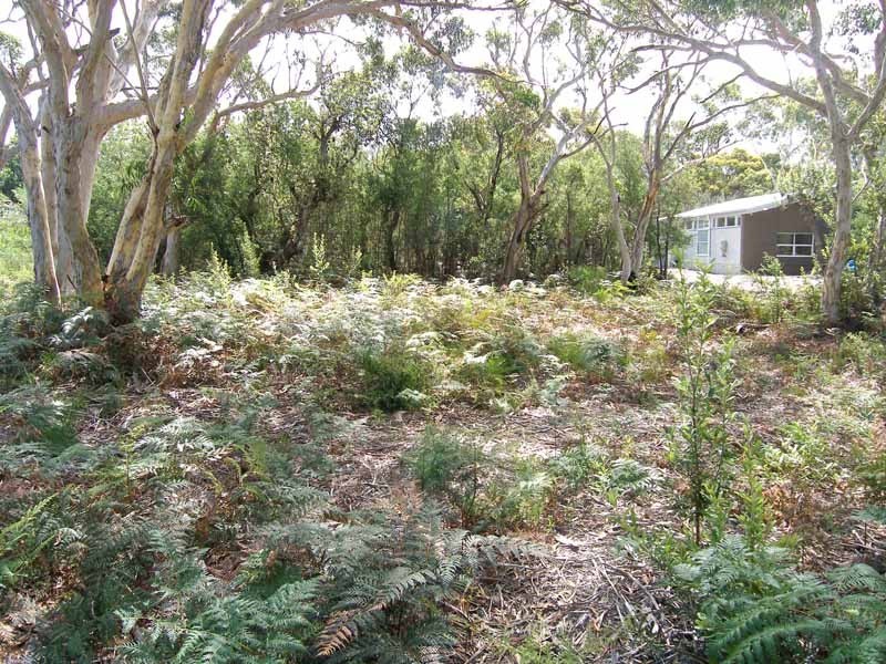 106 Griffin  Street, Callala Beach NSW 2540