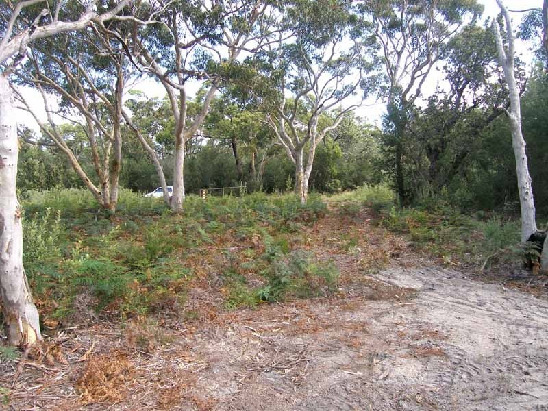 106 Griffin  Street, Callala Beach NSW 2540