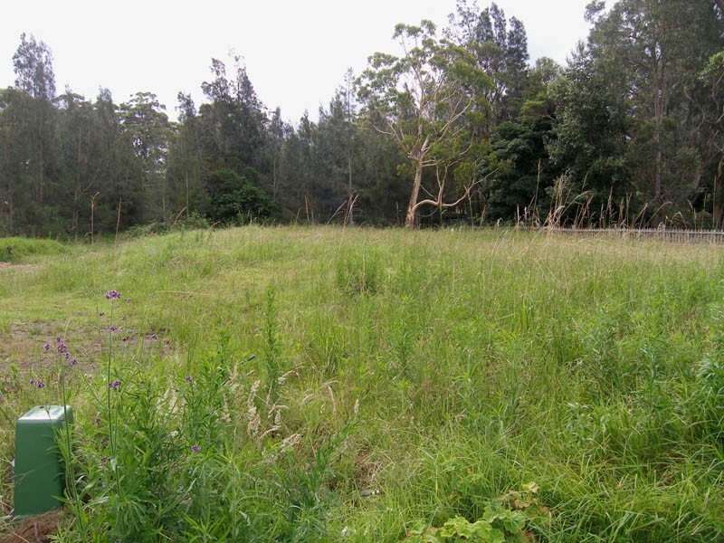 87 Wearne Street, Callala Bay NSW 2540