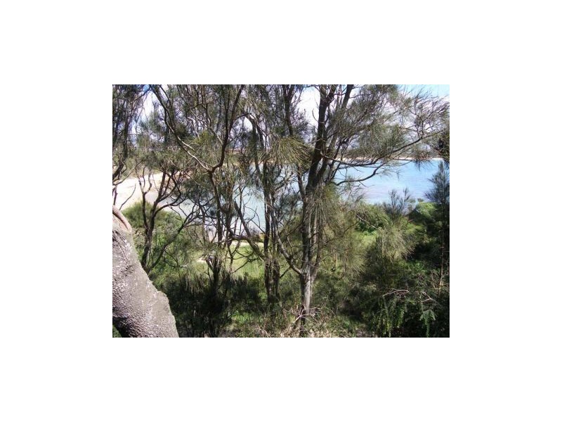 4/210 Penguin Head Road, Culburra Beach NSW 2540