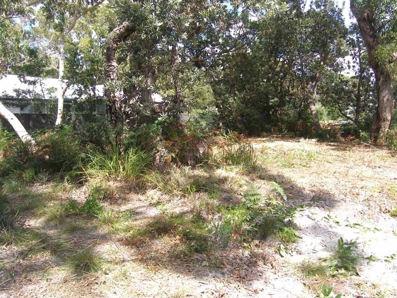 25 Sandlewood Cove, Callala Beach NSW 2540