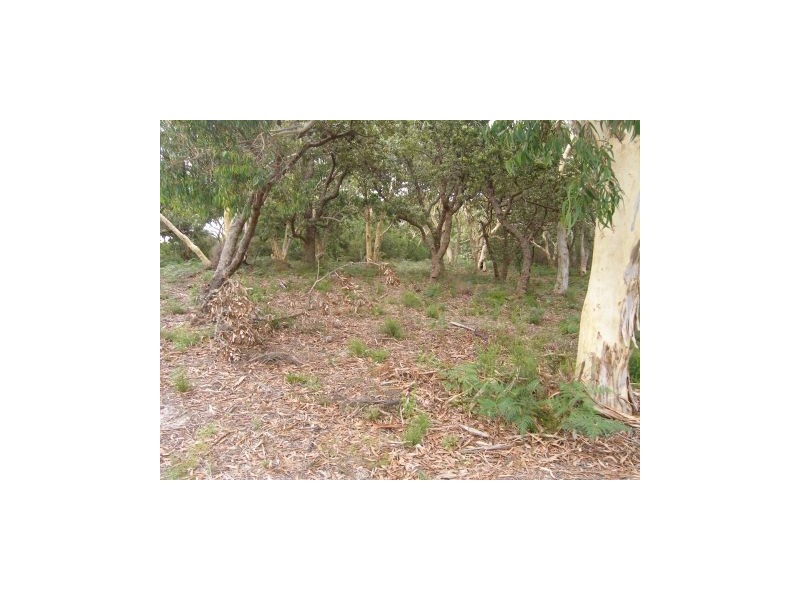 22 Hazelwood Rise, Callala Bay NSW 2540