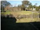 2/59 Birrelly Street, Bomaderry NSW 2541