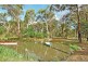 D1083 Princes Highway, Falls Creek NSW 2540