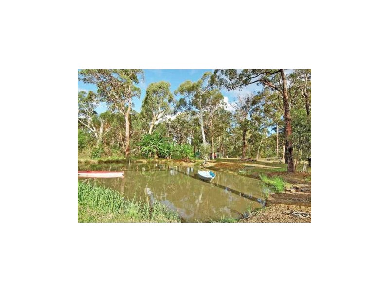 D1083 Princes Highway, Falls Creek NSW 2540