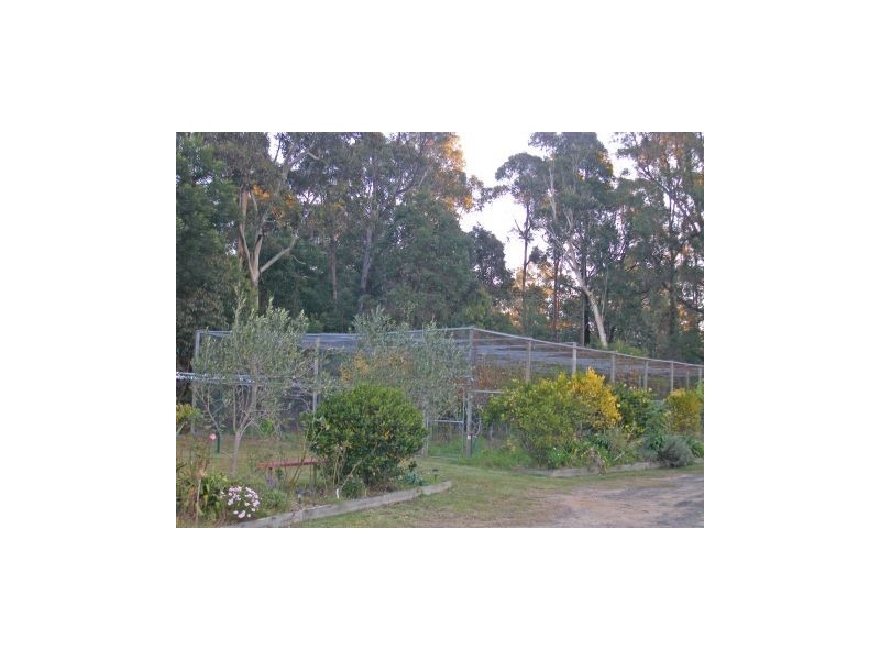 D1083 Princes Highway, Falls Creek NSW 2540