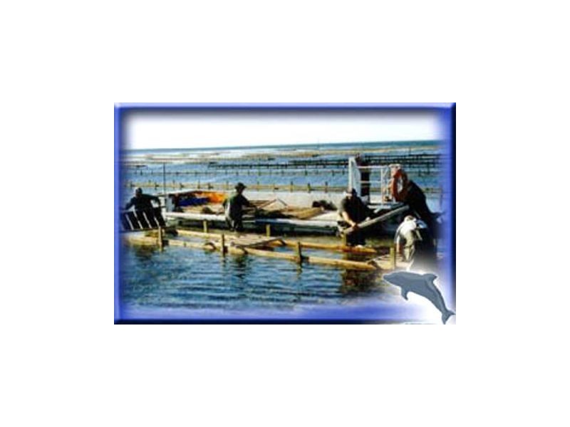 14/170 Greens Road, Greenwell Point NSW 2540