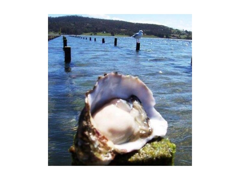 14/170 Greens Road, Greenwell Point NSW 2540