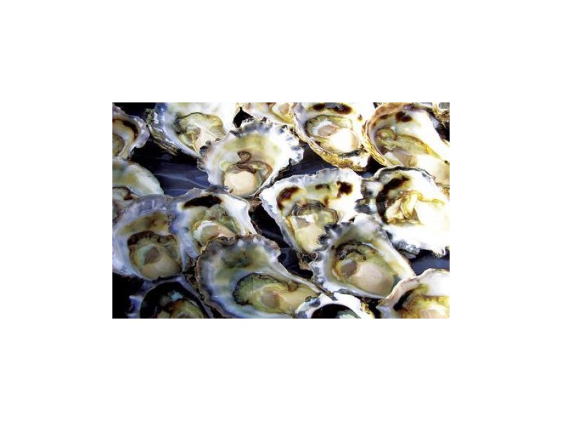 14/170 Greens Road, Greenwell Point NSW 2540