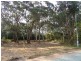 6 Silkwood Walk, Callala Beach NSW 2540