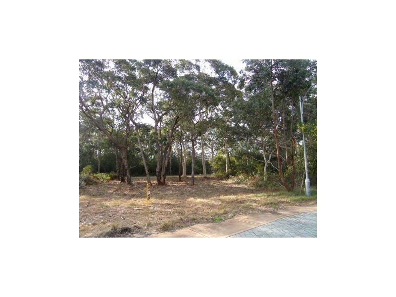 6 Silkwood Walk, Callala Beach NSW 2540